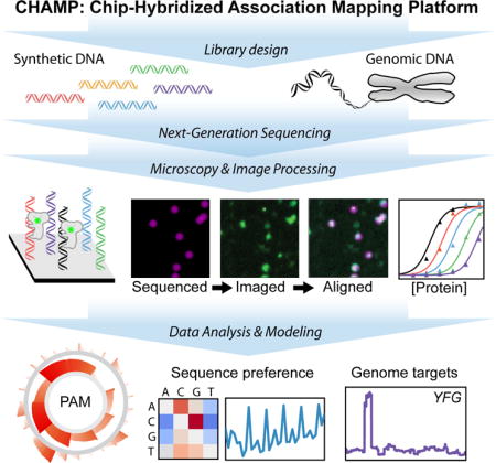 graphic file with name nihms880499u1.jpg