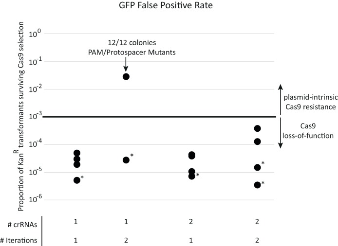 Figure 1—figure supplement 2.