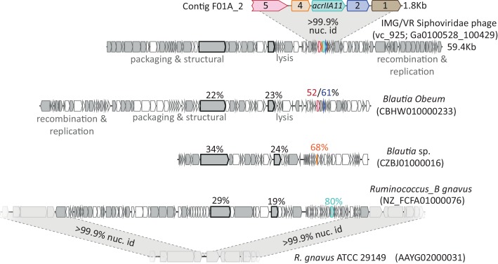 Figure 2—figure supplement 2.