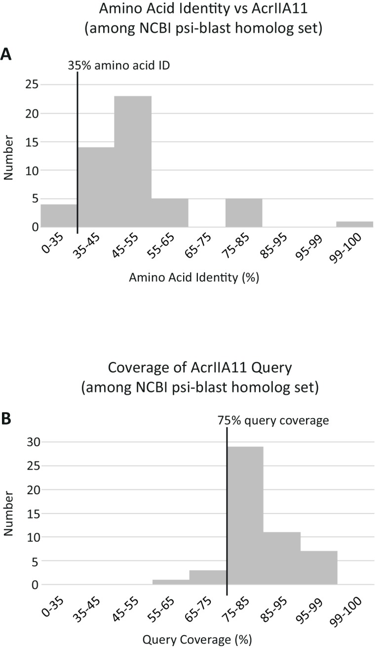 Figure 4—figure supplement 1.
