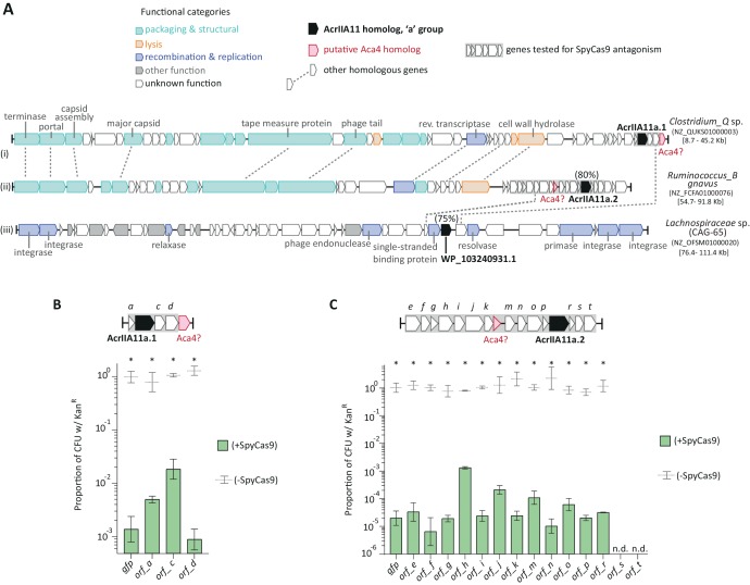 Figure 4—figure supplement 3.