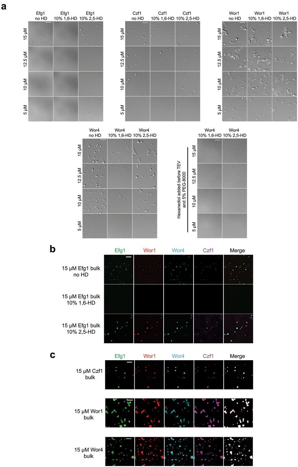 Extended Data [Fig. 3](#fig3)