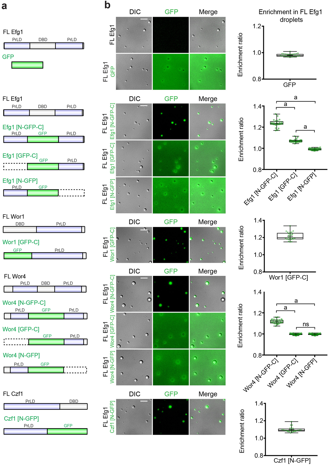 Extended Data [Fig. 4](#fig4)