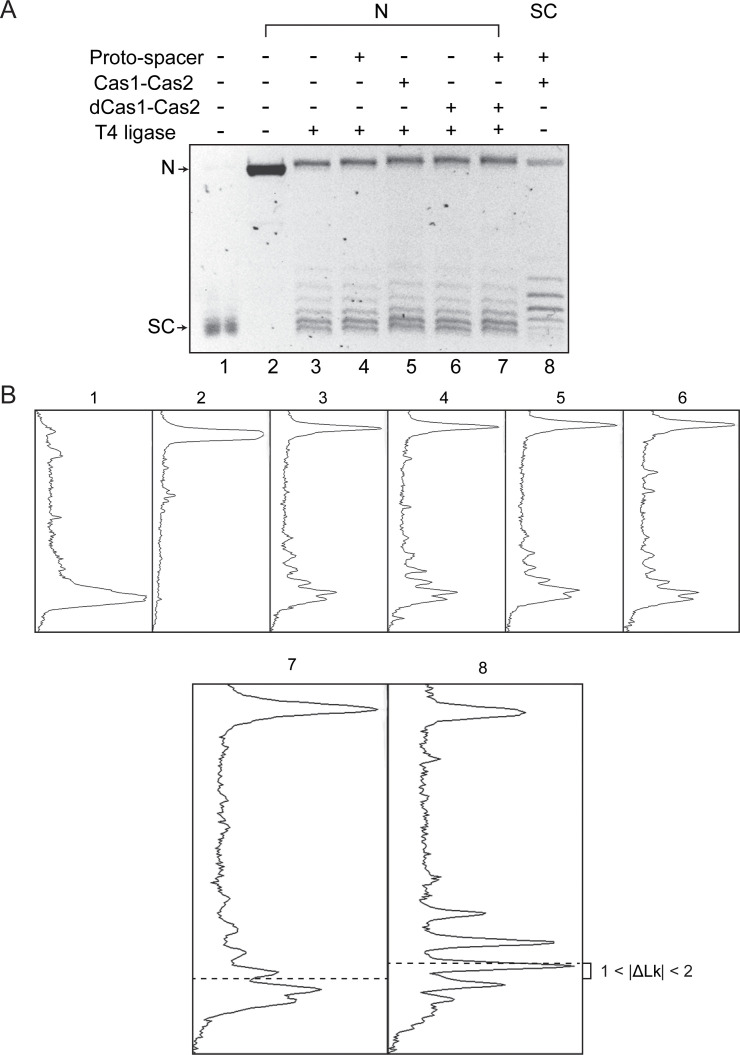 Figure 1—figure supplement 2.