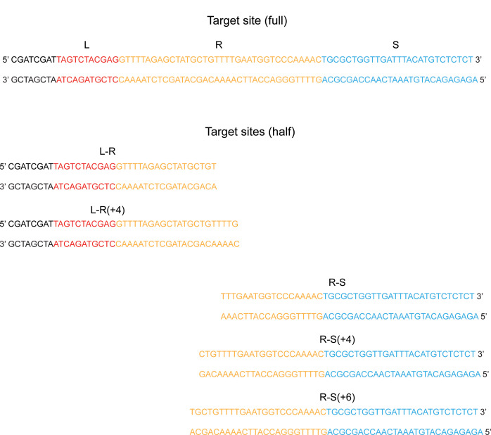 Figure 4—figure supplement 1.