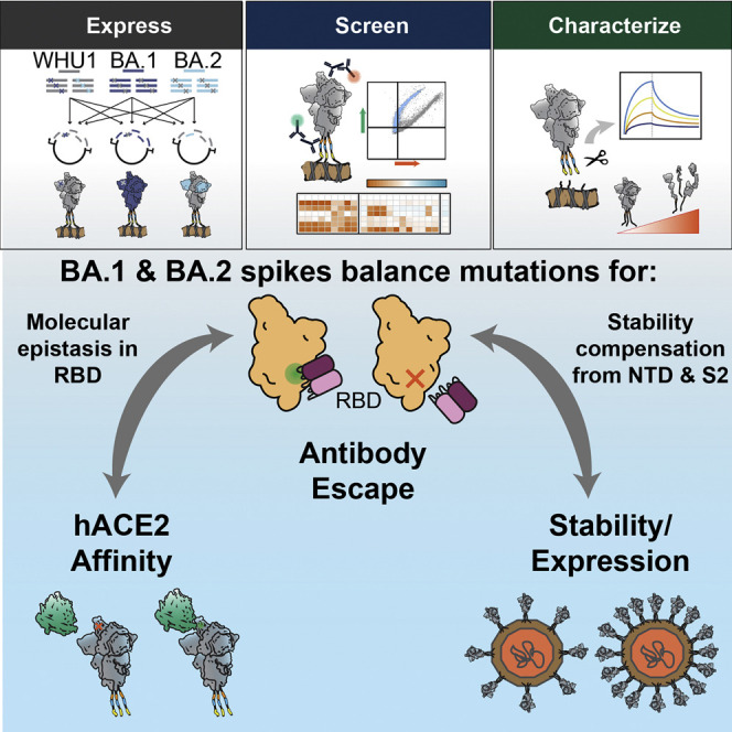 graphic file with name fx1_lrg.jpg