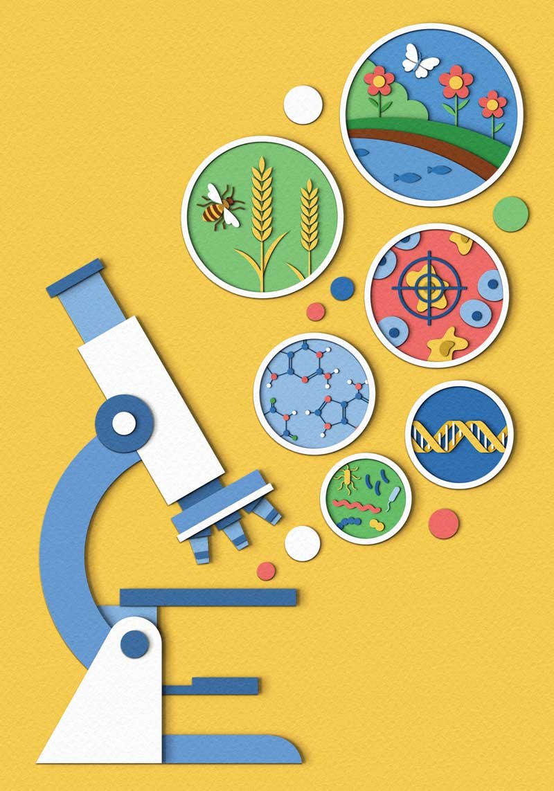 Illustration of future gene editing applications