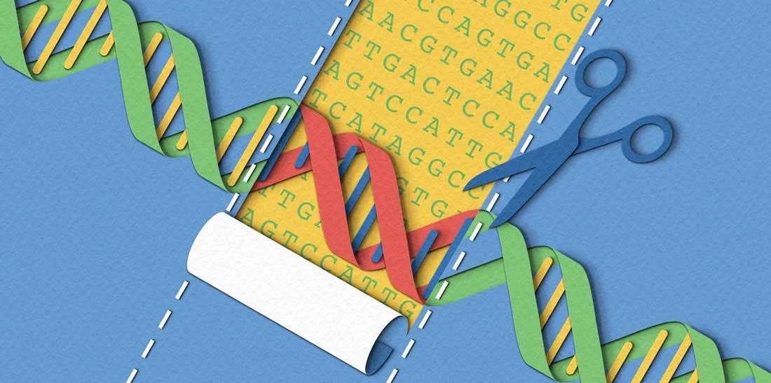 Illustration of precision gene engineering