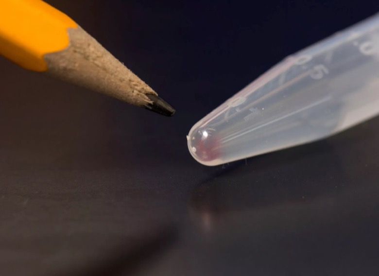 Test tube holding a faint pink smear of DNA
