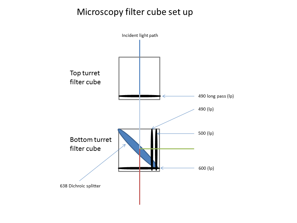 filter_cube_set_up.png