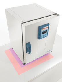 Heratherm Incubator