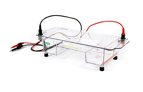 Agarose System