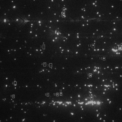 molecule_track_1st_image-1.png