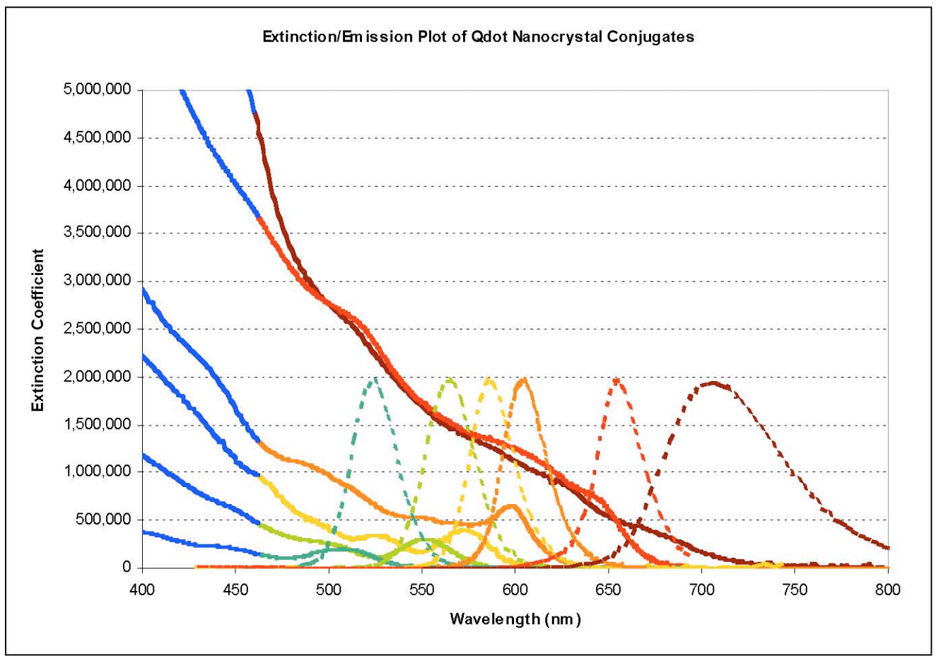 Typical absorbance and emission spectra of Qdot® 705 conjugate (brown curves), Qdot® 655 conjugate (dark red curves), Qdot® 605 conjugate (orange curves), Qdot® 585 conjugate (yellow curves), Qdot® 565 conjugate (chartreuse curves), Qdot® 525 conjugate (green curves). The inlaid blue lines on the absorbance represent a broad window of absorbance that will excite the materials more efficiently than a single wavelength excitation. Image taken from QDot manual