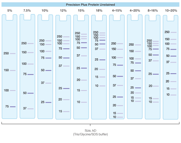 sds_page_tgx_precplus_broadrange_charts.gif